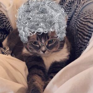 Meet your Posher, Emilie